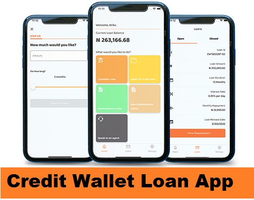 Credit Wallet Loan App